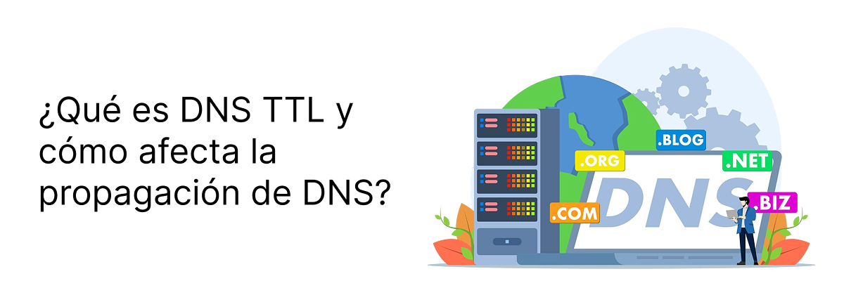 ¿Qué es DNS TTL y cómo afecta a la propagación de DNS?